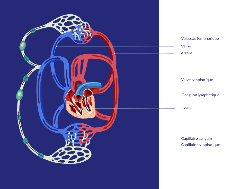 séance de soin presso esthétique avec l'appareil de pressothérapie Ipress